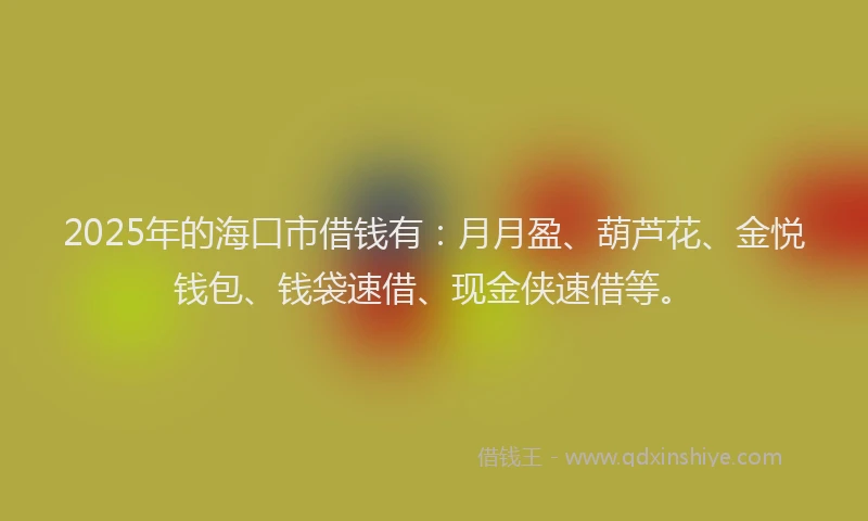 2025年的海口市借钱有：月月盈、葫芦花、金悦钱包、钱袋速借、现金侠速借等。