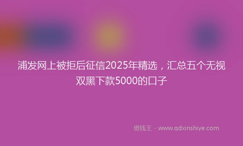 浦发网上被拒后征信2025年精选，汇总五个无视双黑下款5000的口子