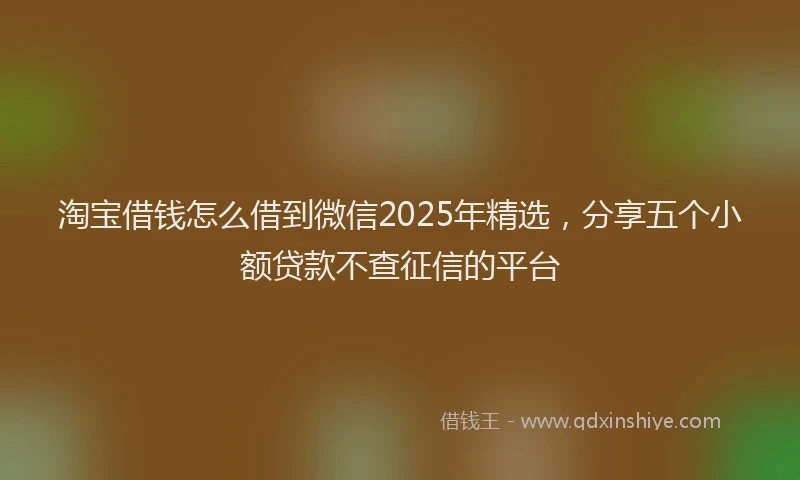 淘宝借钱怎么借到微信2025年精选，分享五个小额贷款不查征信的平台