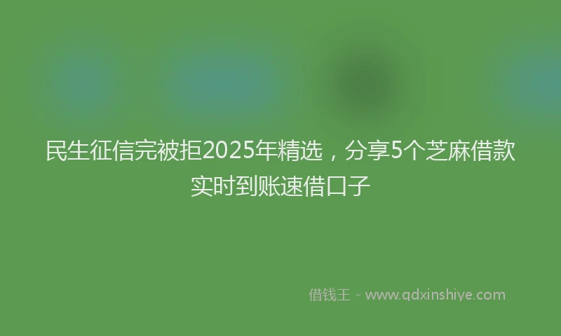 民生征信完被拒2025年精选，分享5个芝麻借款实时到账速借口子
