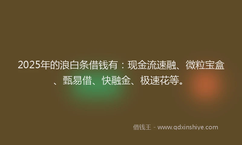 2025年的浪白条借钱有：现金流速融、微粒宝盒、甄易借、快融金、极速花等。