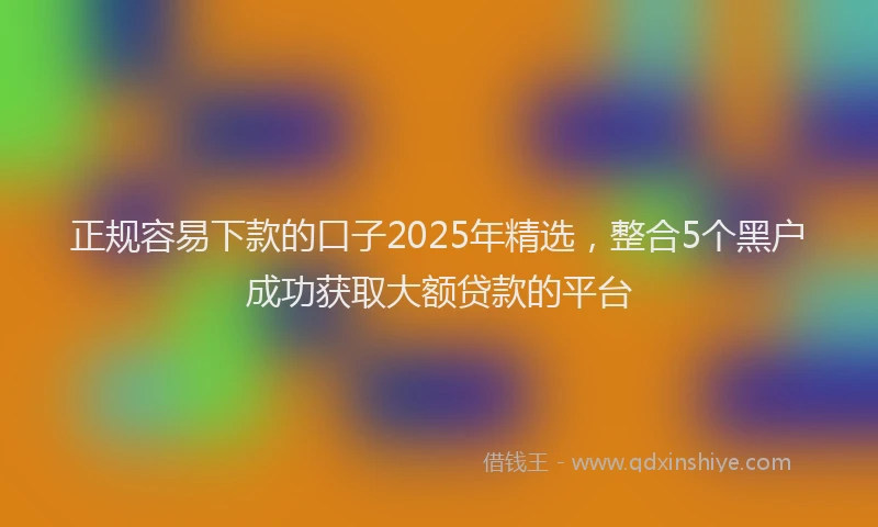 正规容易下款的口子2025年精选，整合5个黑户成功获取大额贷款的平台