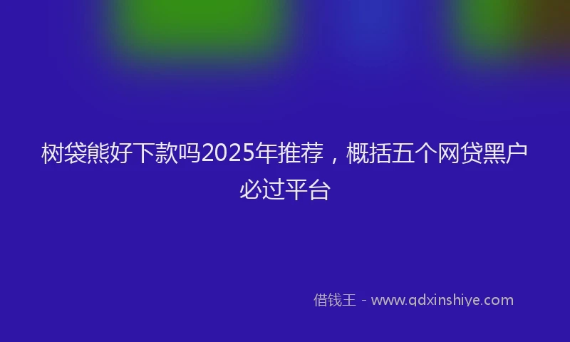 树袋熊好下款吗2025年推荐，概括五个网贷黑户必过平台