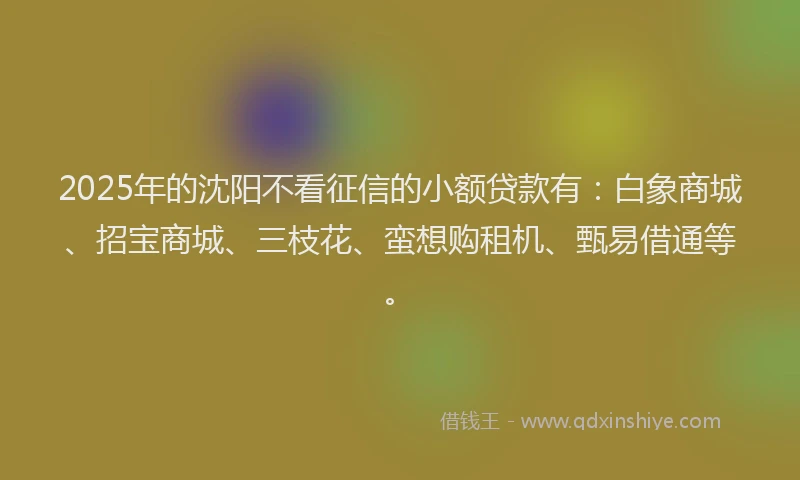 2025年的沈阳不看征信的小额贷款有：白象商城、招宝商城、三枝花、蛮想购租机、甄易借通等。