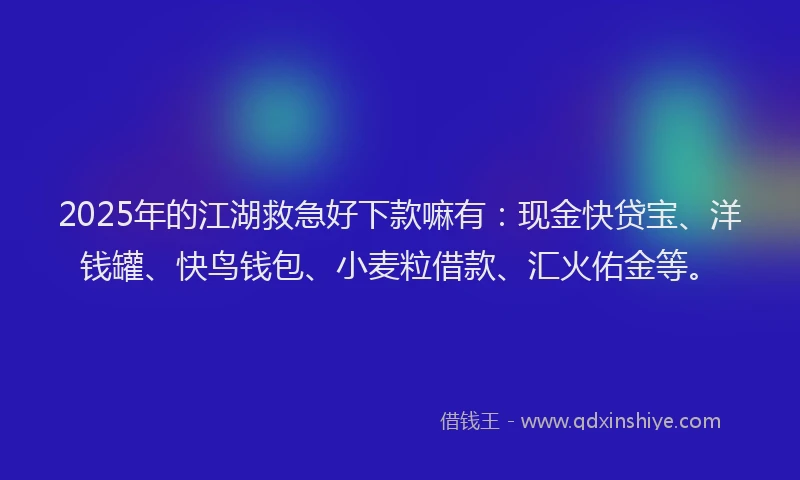 2025年的江湖救急好下款嘛有：现金快贷宝、洋钱罐、快鸟钱包、小麦粒借款、汇火佑金等。