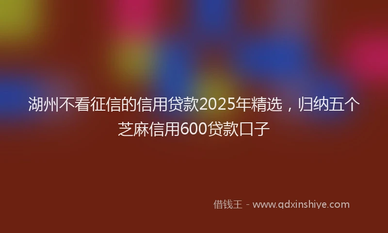 湖州不看征信的信用贷款2025年精选，归纳五个芝麻信用600贷款口子