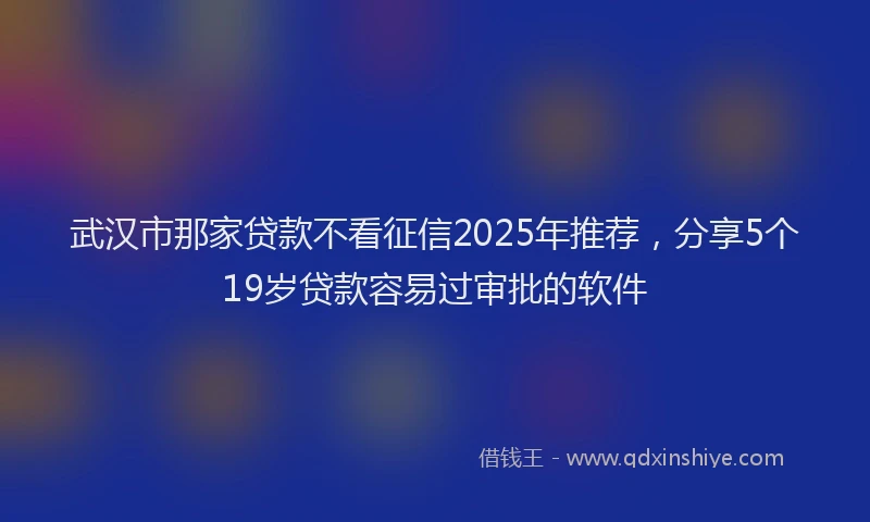 武汉市那家贷款不看征信2025年推荐，分享5个19岁贷款容易过审批的软件