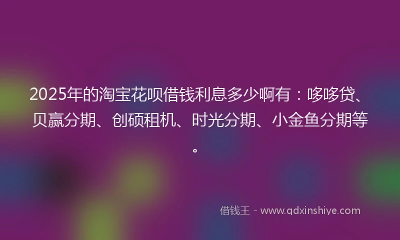 2025年的淘宝花呗借钱利息多少啊有：哆哆贷、贝赢分期、创硕租机、时光分期、小金鱼分期等。