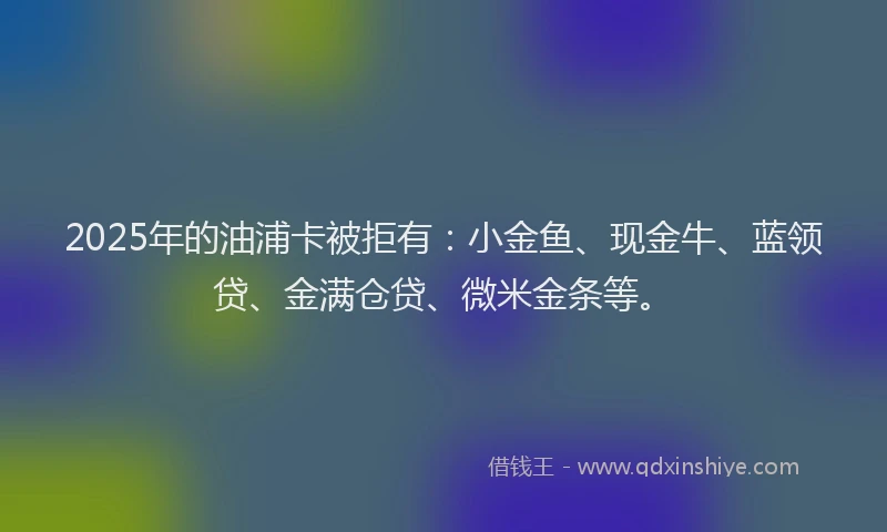 2025年的油浦卡被拒有：小金鱼、现金牛、蓝领贷、金满仓贷、微米金条等。