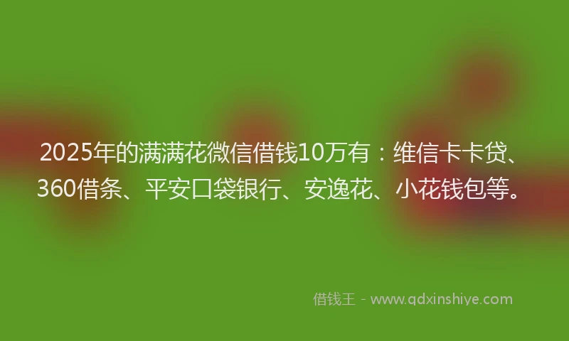 2025年的满满花微信借钱10万有：维信卡卡贷、360借条、平安口袋银行、安逸花、小花钱包等。