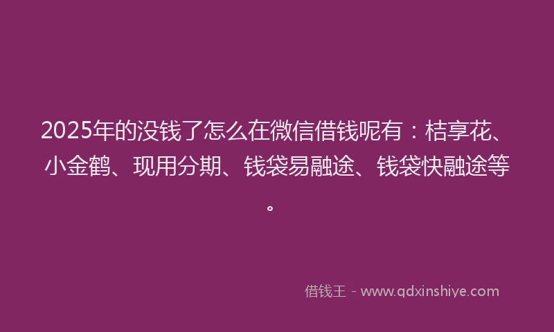 2025年的没钱了怎么在微信借钱呢有：桔享花、小金鹤、现用分期、钱袋易融途、钱袋快融途等。