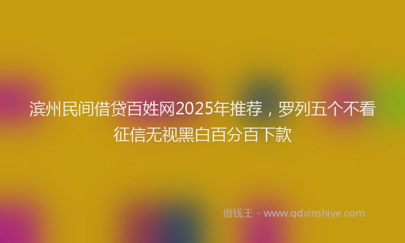 滨州民间借贷百姓网2025年推荐，罗列五个不看征信无视黑白百分百下款
