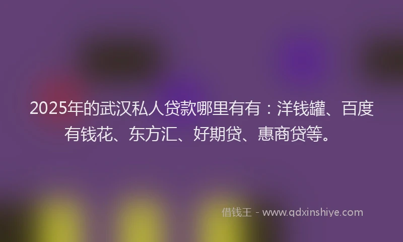 2025年的武汉私人贷款哪里有有：洋钱罐、百度有钱花、东方汇、好期贷、惠商贷等。