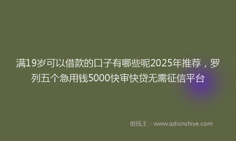 满19岁可以借款的口子有哪些呢2025年推荐，罗列五个急用钱5000快审快贷无需征信平台