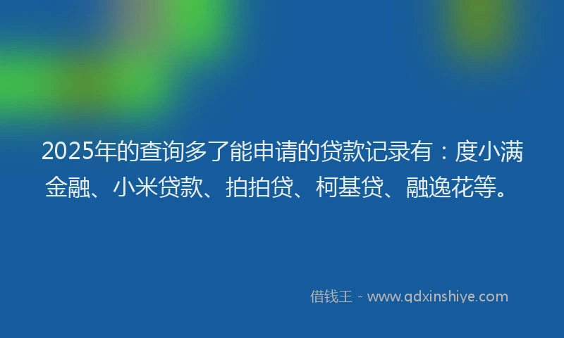 2025年的查询多了能申请的贷款记录有：度小满金融、小米贷款、拍拍贷、柯基贷、融逸花等。