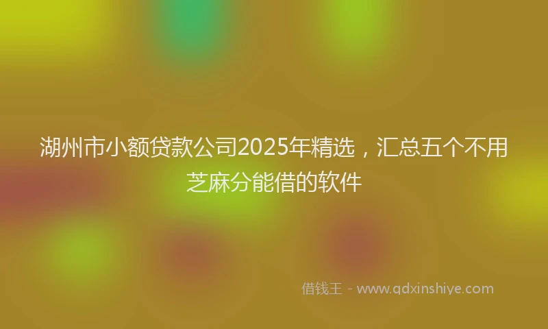 湖州市小额贷款公司2025年精选，汇总五个不用芝麻分能借的软件