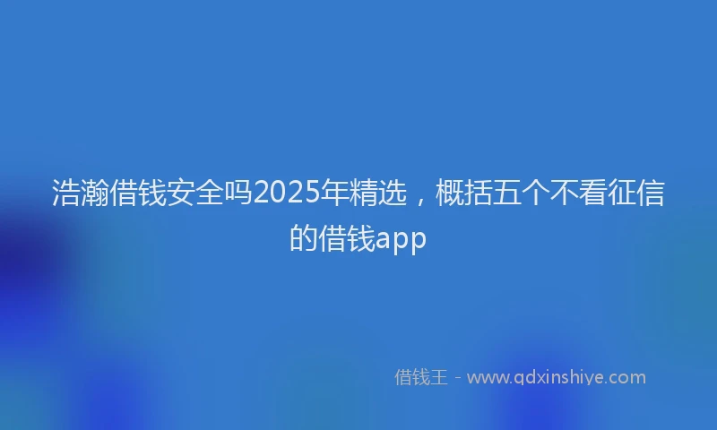 浩瀚借钱安全吗2025年精选，概括五个不看征信的借钱app