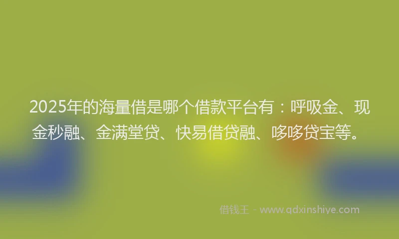 2025年的海量借是哪个借款平台有：呼吸金、现金秒融、金满堂贷、快易借贷融、哆哆贷宝等。