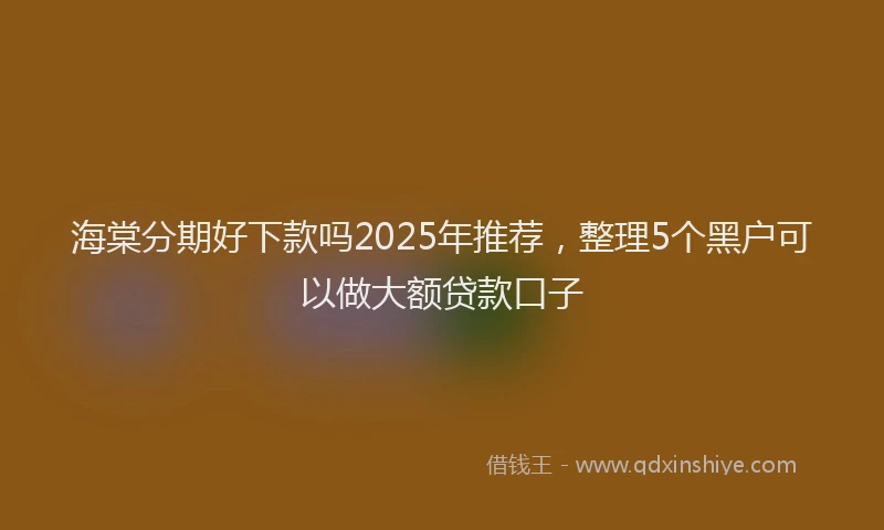 海棠分期好下款吗2025年推荐，整理5个黑户可以做大额贷款口子