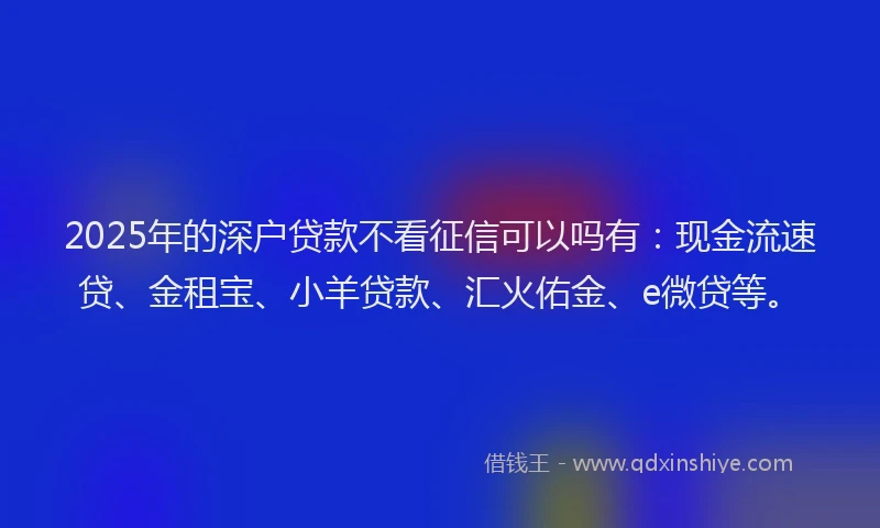 2025年的深户贷款不看征信可以吗有：现金流速贷、金租宝、小羊贷款、汇火佑金、e微贷等。