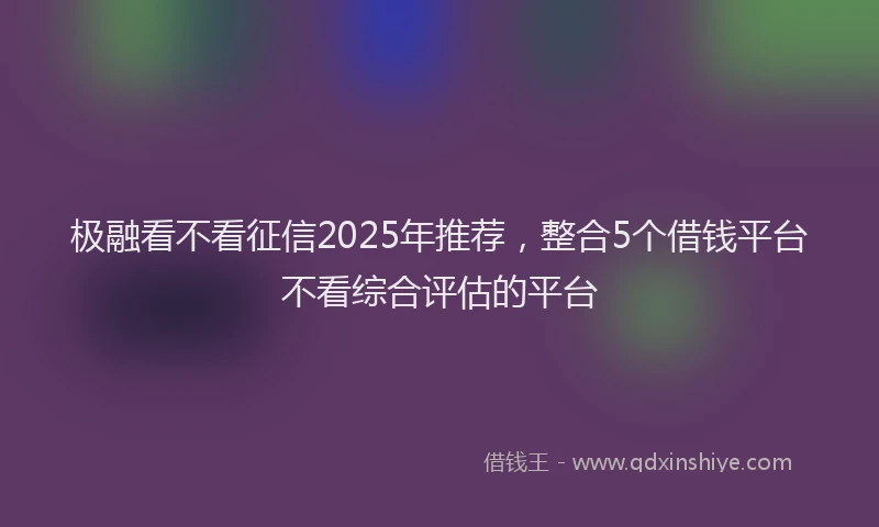 极融看不看征信2025年推荐，整合5个借钱平台不看综合评估的平台