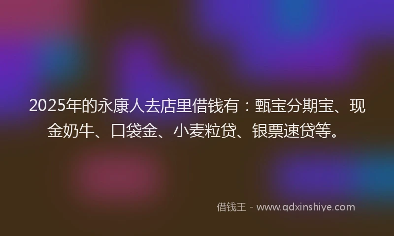 2025年的永康人去店里借钱有：甄宝分期宝、现金奶牛、口袋金、小麦粒贷、银票速贷等。