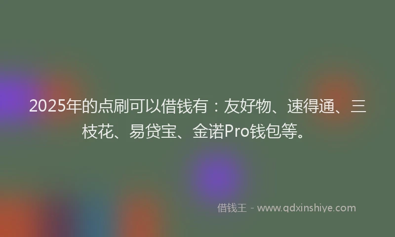 2025年的点刷可以借钱有：友好物、速得通、三枝花、易贷宝、金诺Pro钱包等。