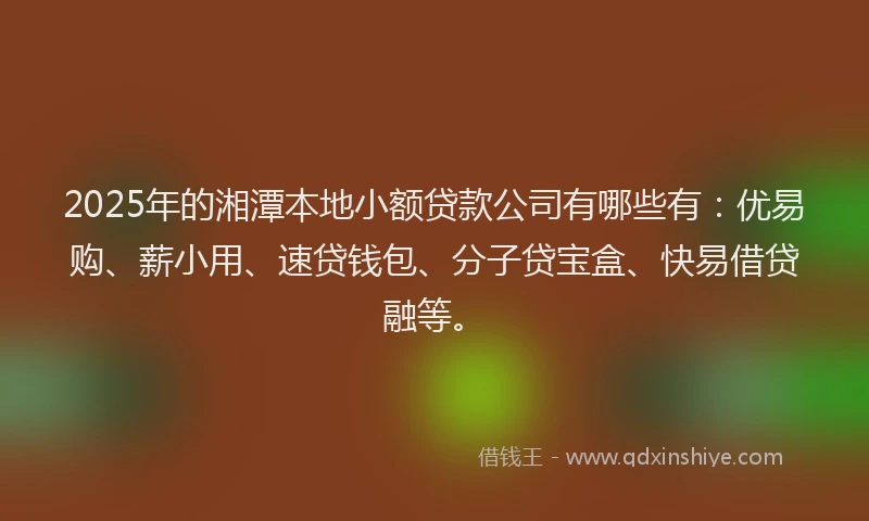 2025年的湘潭本地小额贷款公司有哪些有：优易购、薪小用、速贷钱包、分子贷宝盒、快易借贷融等。