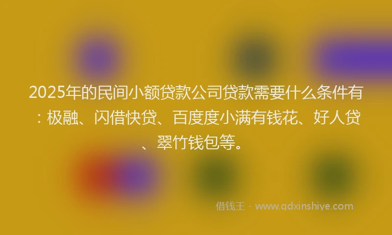 2025年的民间小额贷款公司贷款需要什么条件有：极融、闪借快贷、百度度小满有钱花、好人贷、翠竹钱包等。