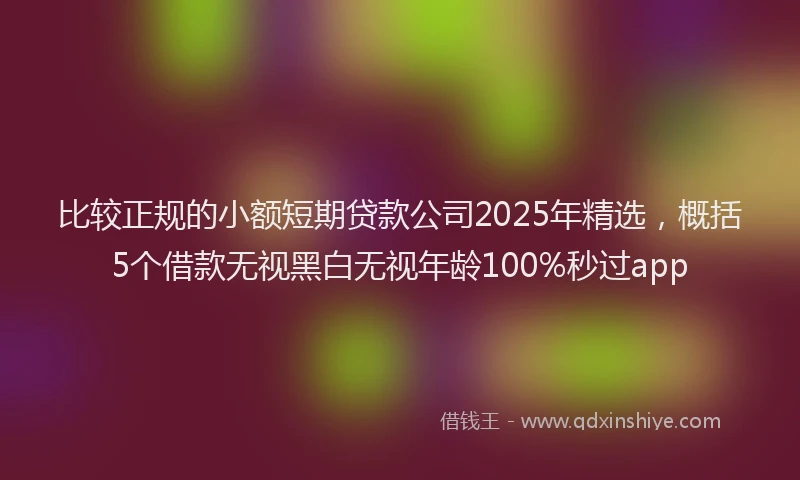 比较正规的小额短期贷款公司2025年精选，概括5个借款无视黑白无视年龄100%秒过app
