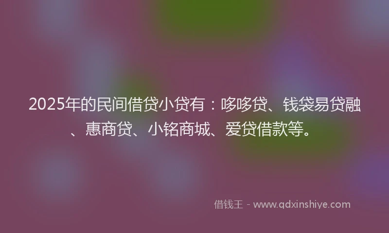 2025年的民间借贷小贷有：哆哆贷、钱袋易贷融、惠商贷、小铭商城、爱贷借款等。