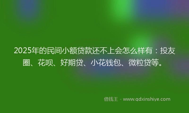 2025年的民间小额贷款还不上会怎么样有：投友圈、花呗、好期贷、小花钱包、微粒贷等。