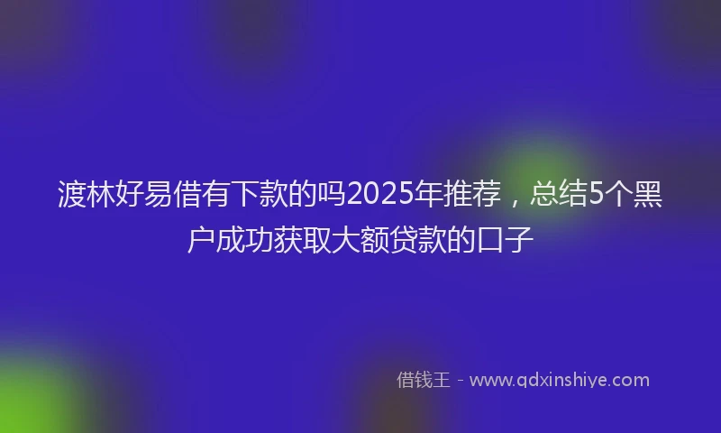 渡林好易借有下款的吗2025年推荐，总结5个黑户成功获取大额贷款的口子