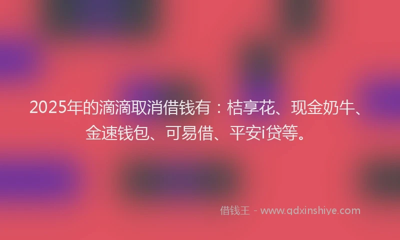 2025年的滴滴取消借钱有：桔享花、现金奶牛、金速钱包、可易借、平安i贷等。