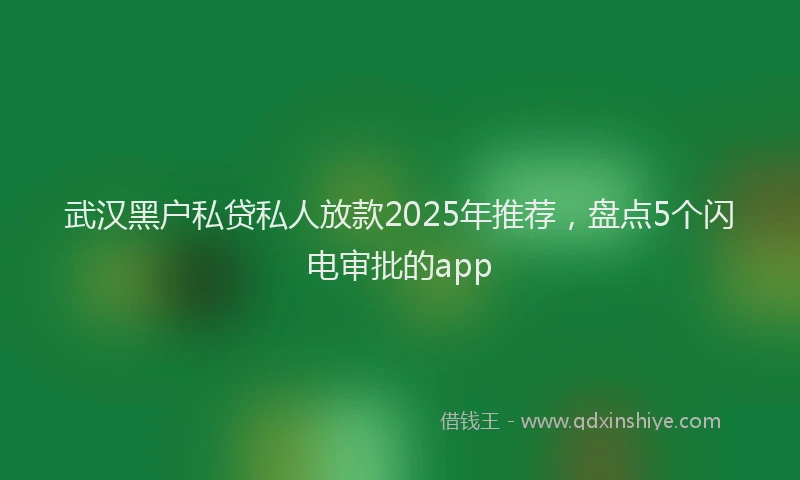 武汉黑户私贷私人放款2025年推荐，盘点5个闪电审批的app
