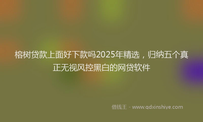 榕树贷款上面好下款吗2025年精选，归纳五个真正无视风控黑白的网贷软件