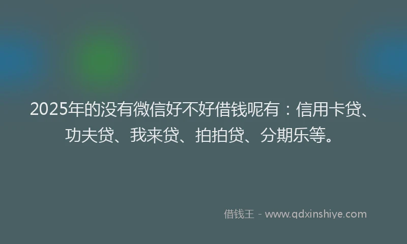 2025年的没有微信好不好借钱呢有：信用卡贷、功夫贷、我来贷、拍拍贷、分期乐等。