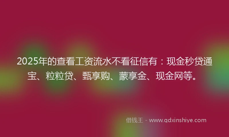 2025年的查看工资流水不看征信有：现金秒贷通宝、粒粒贷、甄享购、蒙享金、现金网等。