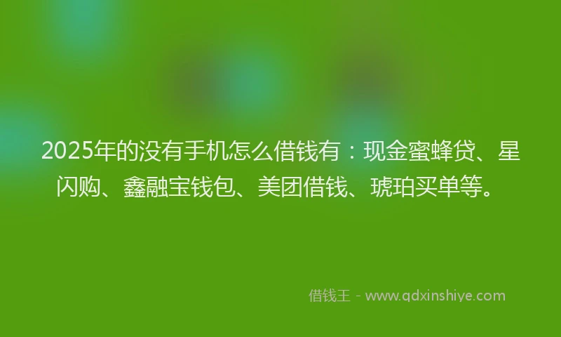 2025年的没有手机怎么借钱有：现金蜜蜂贷、星闪购、鑫融宝钱包、美团借钱、琥珀买单等。
