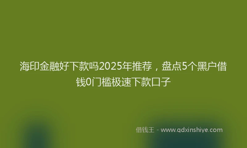 海印金融好下款吗2025年推荐，盘点5个黑户借钱0门槛极速下款口子