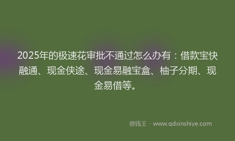 2025年的极速花审批不通过怎么办有：借款宝快融通、现金侠途、现金易融宝盒、柚子分期、现金易借等。