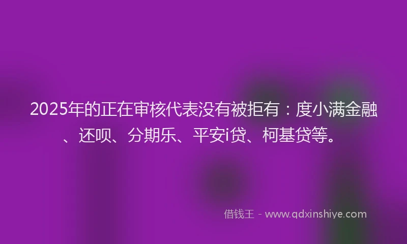 2025年的正在审核代表没有被拒有：度小满金融、还呗、分期乐、平安i贷、柯基贷等。
