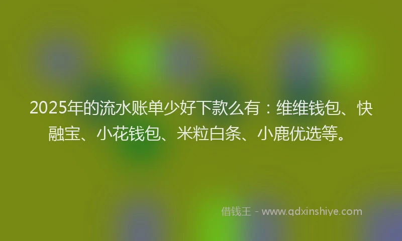2025年的流水账单少好下款么有：维维钱包、快融宝、小花钱包、米粒白条、小鹿优选等。