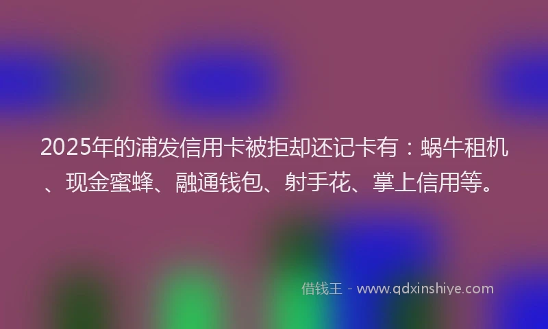 2025年的浦发信用卡被拒却还记卡有：蜗牛租机、现金蜜蜂、融通钱包、射手花、掌上信用等。