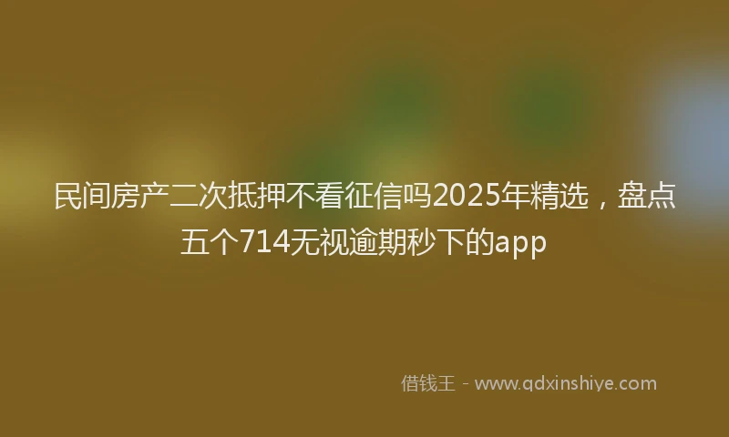 民间房产二次抵押不看征信吗2025年精选，盘点五个714无视逾期秒下的app