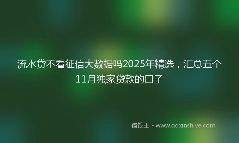 流水贷不看征信大数据吗2025年精选，汇总五个11月独家贷款的口子