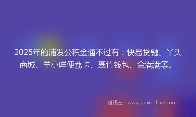 2025年的浦发公积金通不过有：快易贷融、丫头商城、羊小咩便荔卡、翠竹钱包、金满满等。