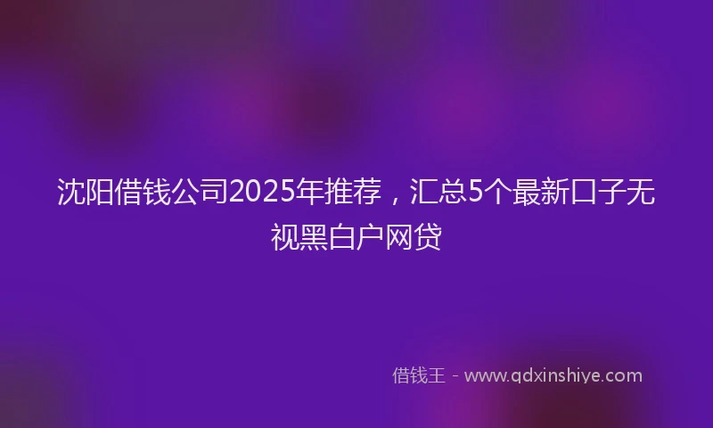 沈阳借钱公司2025年推荐，汇总5个最新口子无视黑白户网贷