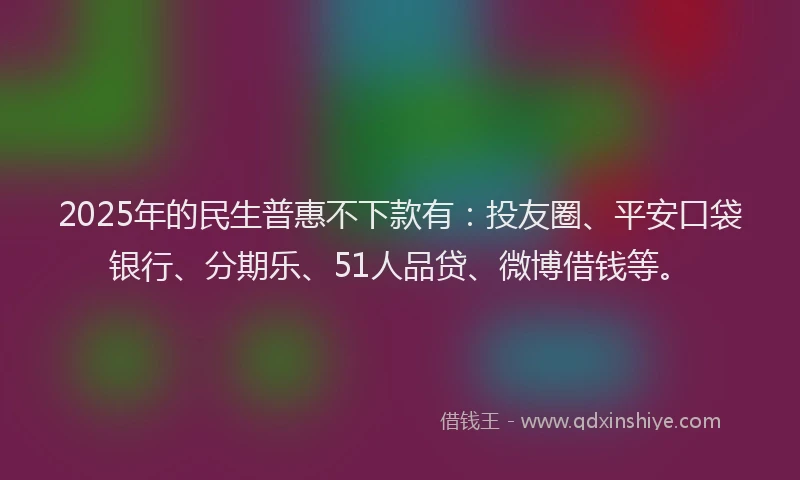 2025年的民生普惠不下款有：投友圈、平安口袋银行、分期乐、51人品贷、微博借钱等。