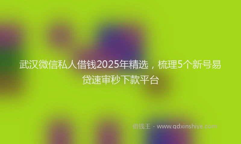 武汉微信私人借钱2025年精选，梳理5个新号易贷速审秒下款平台